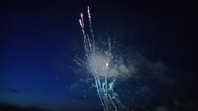 #14487 Cakes 1.2 100 shots