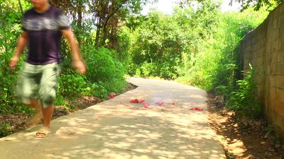 #14478 BUNCH OF FIRECRACKERS 200 Small bunch of firecrakers