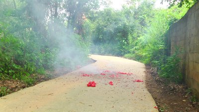 #14479 BUNCH OF FIRECRACKERS 300 Small bunch of firecrackers