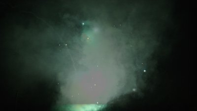 #14442 Module 盆花0.6 100发数