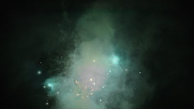 #14442 Module 盆花0.6 100发数