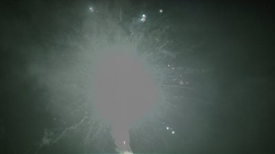 #15284 盆花1.2 100发数