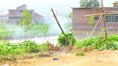 #14524 Tortas 0.3 50 tiros