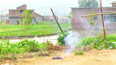 #14524 Tortas 0.3 50 tiros