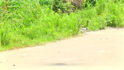 #6262 Stickless rocket (big)