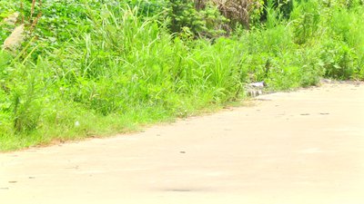 #6263 Stickless rocket (middle)