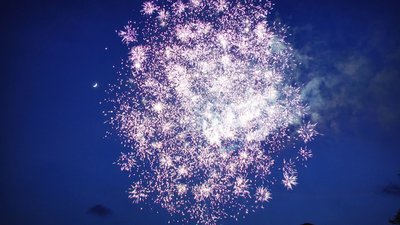 #15444 Cakes 1.0 49 shots