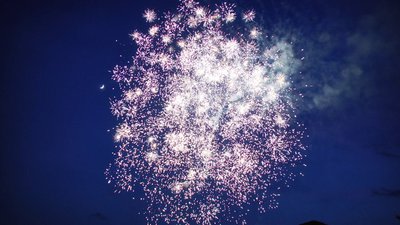 #15444 Cakes 1.0 49 shots