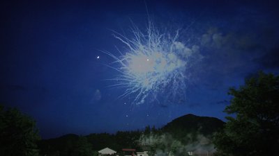 #15141 Tortas 1.2 25 tiros