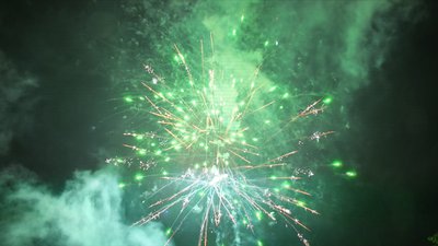 #15339 盆花1.2 100发数