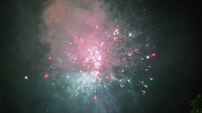 #15339 盆花1.2 100发数