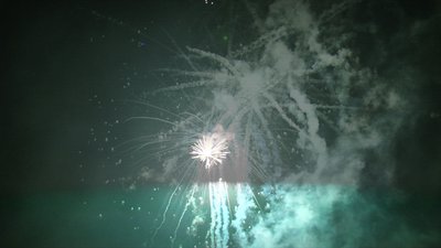 #15142 盆花1.2 36发数