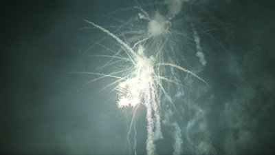 #15142 盆花1.2 36发数