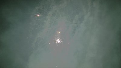 #15209 盆花1.2 100发数