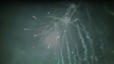 #15139 盆花1.2 19发数