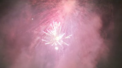 #15209 盆花1.2 100发数