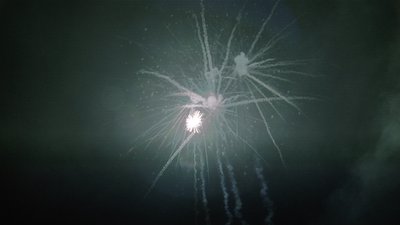 #15139 盆花1.2 19发数