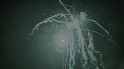 #15193 盆花1.2 25发数