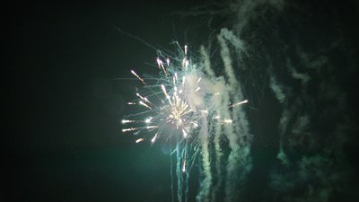 #15136 盆花1.0 49发数