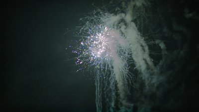 #15136 盆花1.0 49发数