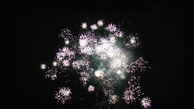 #15161 盆花0.8 25发数