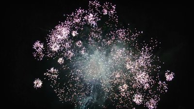 #15161 盆花0.8 25发数