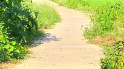 #15007 FIRECRACKERS No.4  FIRECRACKERS WITH 1 BANG (K0204)