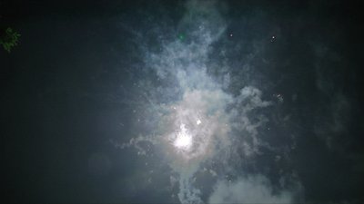 #15336 Compact 1.0 25 coups