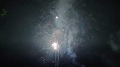 #15337 Cakes 1.0 49 shots