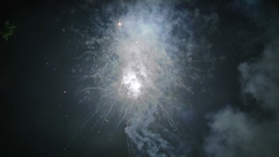 #15337 Cakes 1.0 49 shots