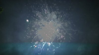 #15335 盆花1.0 16发数