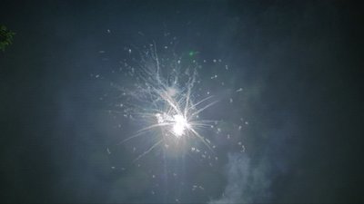 #15335 盆花1.0 16发数