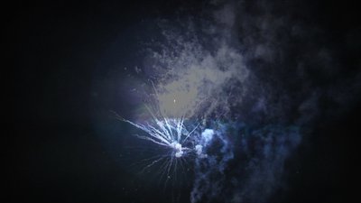 #15817 Tortas 0.8 25 tiros