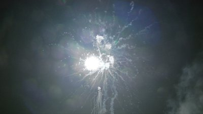 #15818 Tortas 0.8 25 tiros