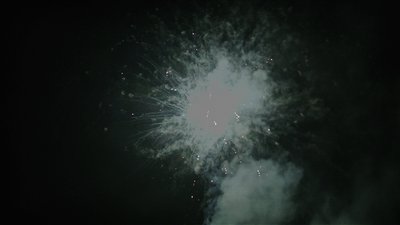 #15821 Tortas 0.8 20 tiros