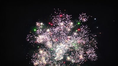 #15348 盆花1.0 25发数