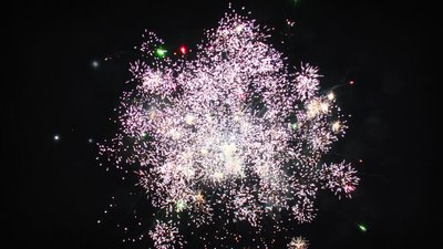 #15348 盆花1.0 25发数