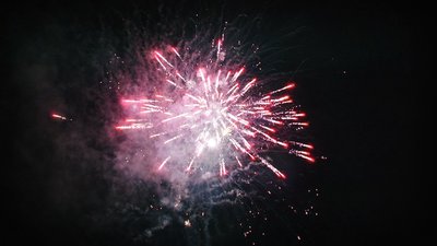 #15165 盆花1.0 100发数