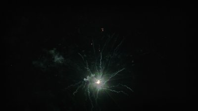 #14268 Module 盆花0.6 16发数