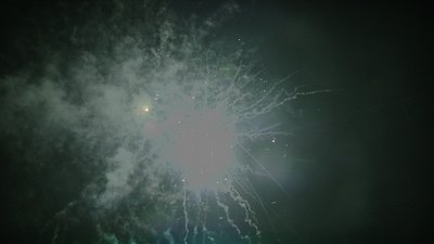 #15276 盆花1.2 36发数