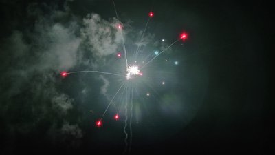 #15193 盆花1.2 25发数