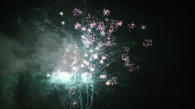 #15139 盆花1.2 19发数