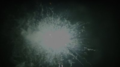 #15408 盆花1.2 100发数