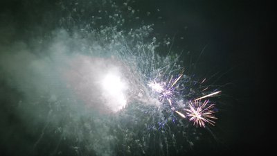 #14815 盆花1.2 214发数