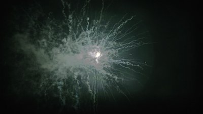 #15108 盆花1.2 36发数