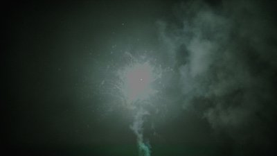 #15235 盆花0.8 25发数