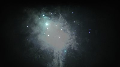 #15161 盆花0.8 25发数