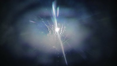 #15335 盆花1.0 16发数