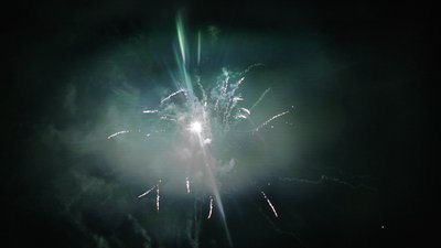 #15348 盆花1.0 25发数