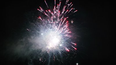 #15165 盆花1.0 100发数